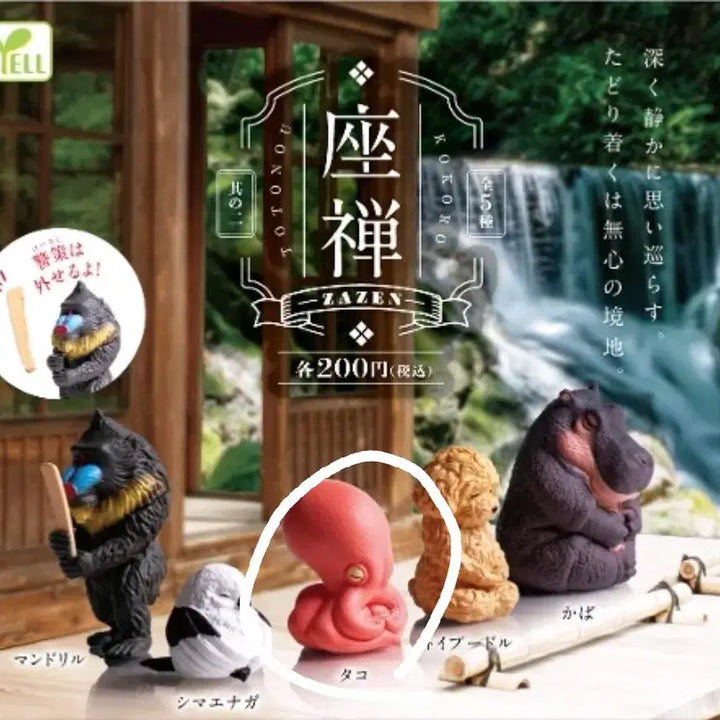 [BUNJANG] Animal Meditation Zazen Gacha Octopus / 동물 명상 좌선 가챠. 문어