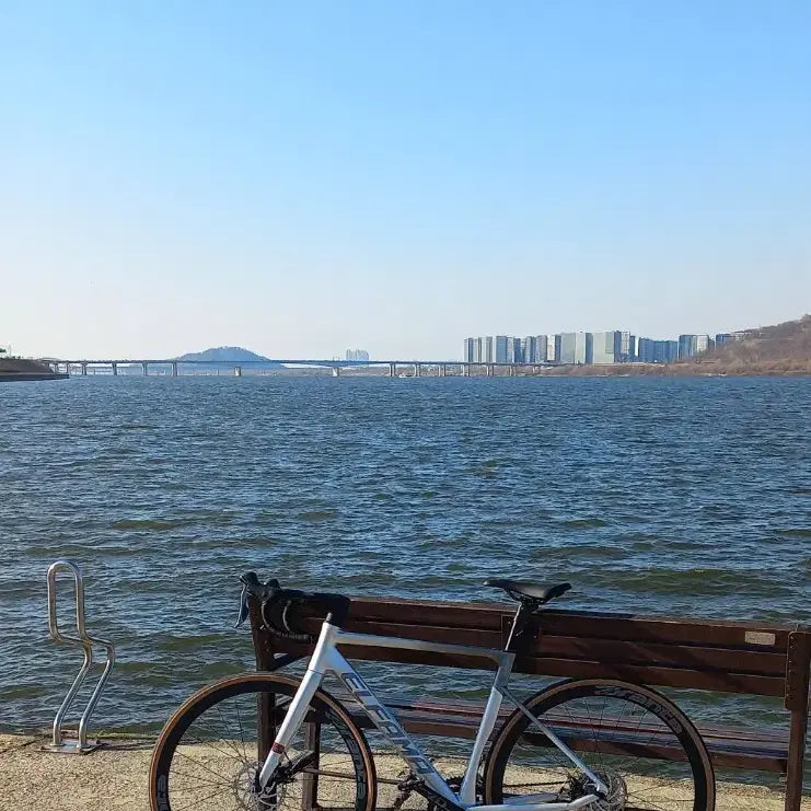 [BUNJANG] Elpama Roadner Bicycle / 엘파마 로드너 판/대