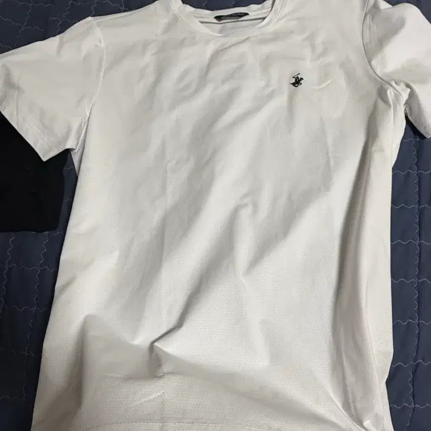[SOLD OUT] 폴로 반팔티