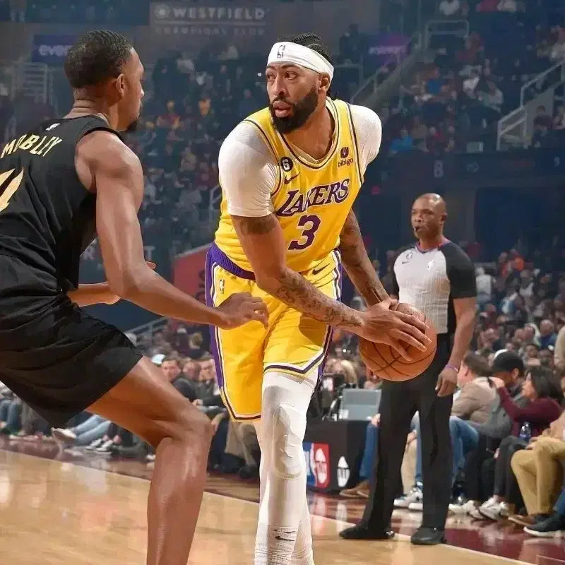 [BUNJANG] Anthony Davis 1/6 Scale Figure (Hot Toys x Enterbay x Artist Collaboration) / 앤서니 데이비스 1/6 피규어 (핫토이X앤터베이X작가작)