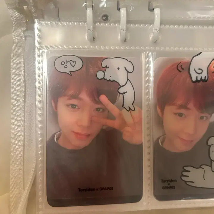 [BUNJANG] Stray Kids NOEASY Lucky Draw Photocard Bundle Set / 나이트로 미공포 일괄 판매