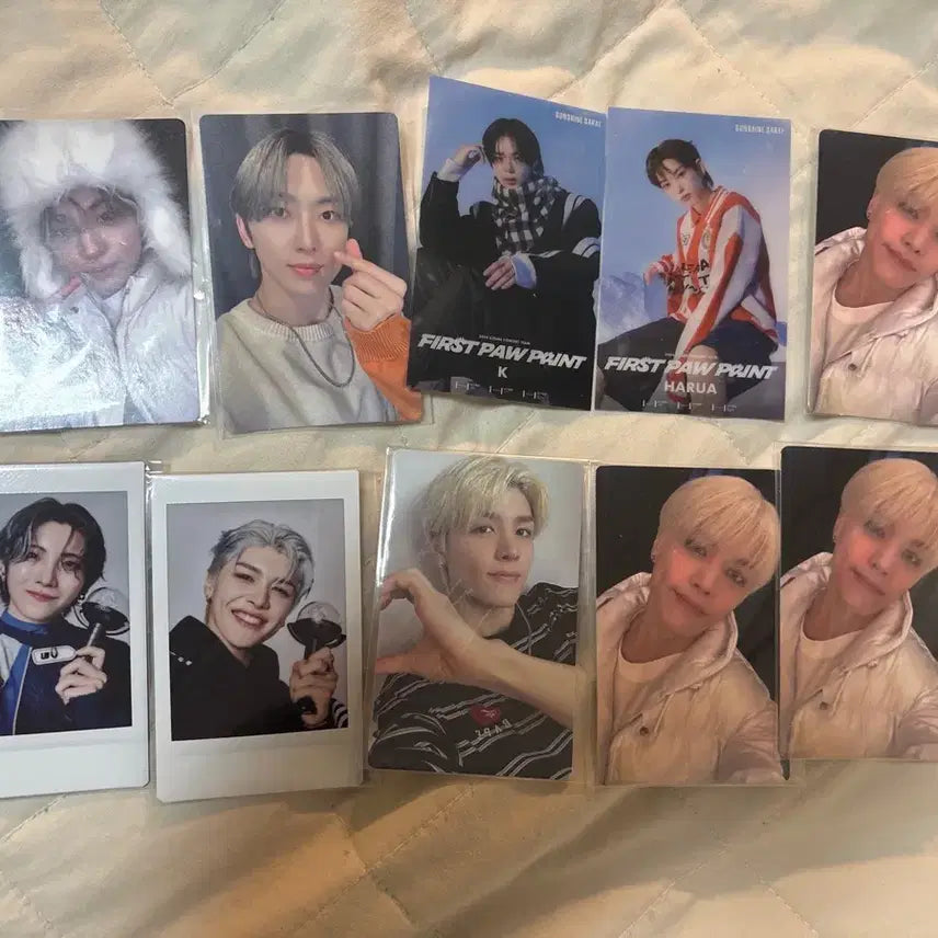 [BUNJANG] ENHYPEN 2024 RENECON Japan Sunshine POB Bundle Set / 앤팀 2024 르네존 서울콘 일본 선샤인 특전 일괄 판매