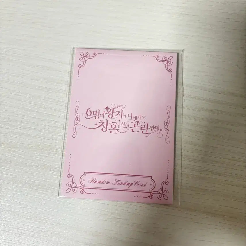 [BUNJANG] NCT WISH Fan Meeting Photocard (Sealed) / 엔시티위시 팬미포카 미개봉
