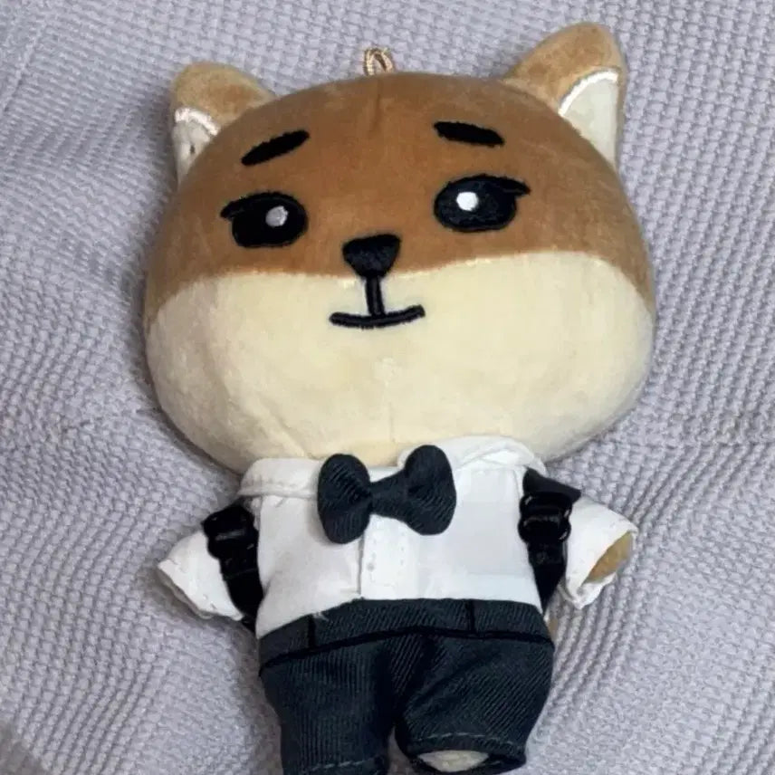 [BUNJANG] DAY6 Young K Denimals 24K Costume Set / 데니멀즈 케 의상포함