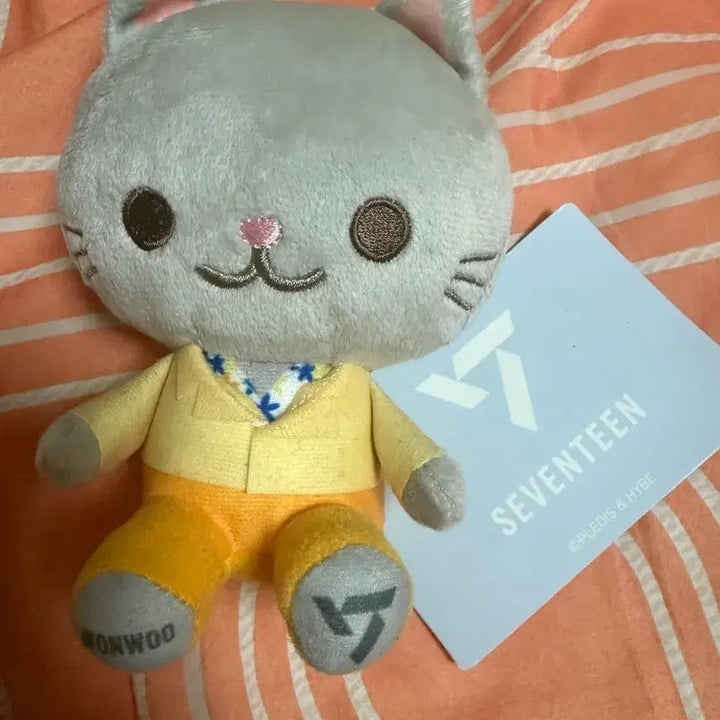 [BUNJANG] SEVENTEEN Wonwoo Cat Plush / 세븐틴 원우 고양이인형
