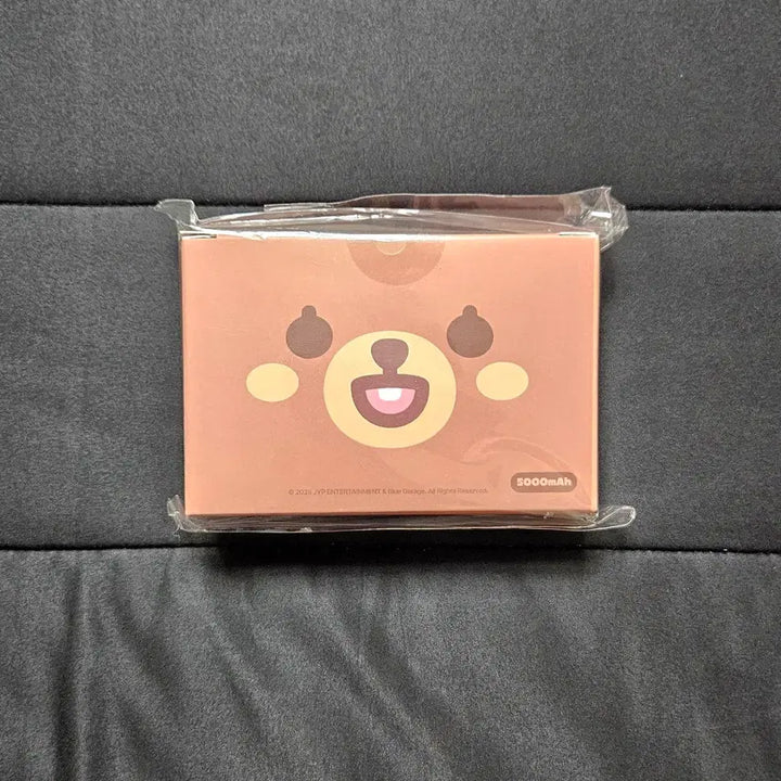 [BUNJANG] Day6 Pretty Much Portable Battery Sealed / 데이식스 쁘멀 방 보조배터리 미개봉