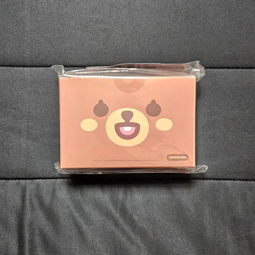 [BUNJANG] Day6 Pretty Much Portable Battery Sealed / 데이식스 쁘멀 방 보조배터리 미개봉