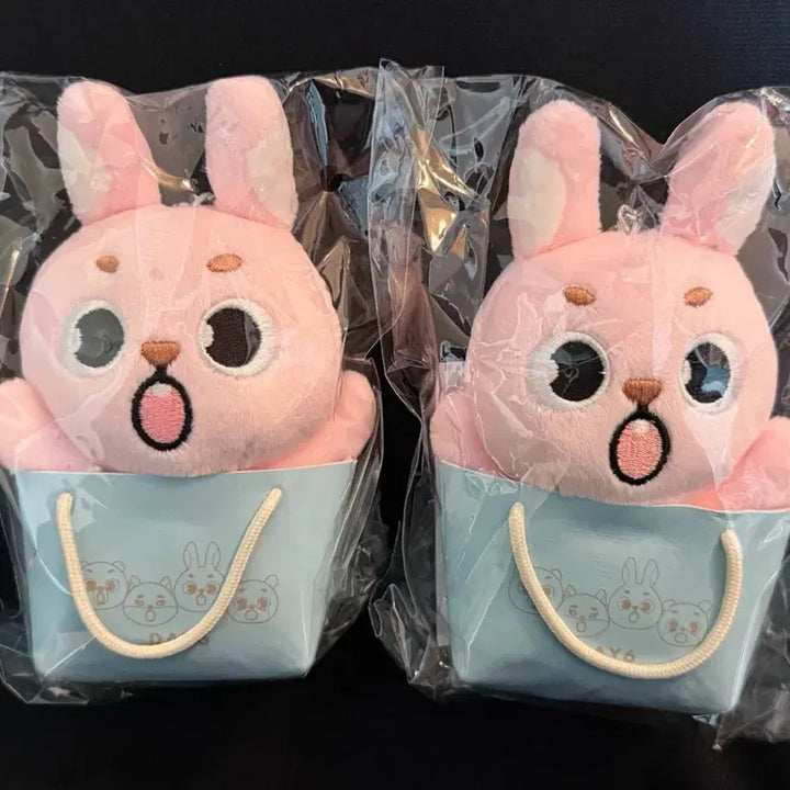 [BUNJANG] Day6 The Decade in Japan Concert Backpack Charm <Phil> / 데이식스 The Decade in Japan 백참 <필>