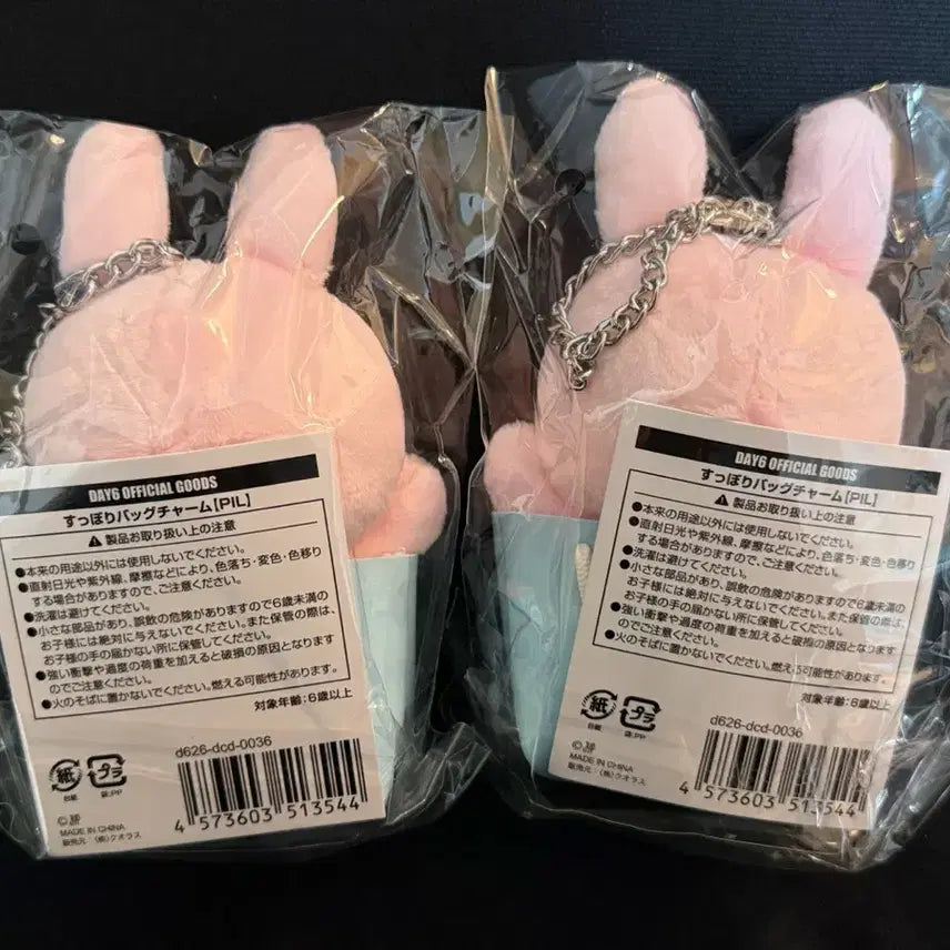 [BUNJANG] Day6 The Decade in Japan Concert Backpack Charm <Phil> / 데이식스 The Decade in Japan 백참 <필>
