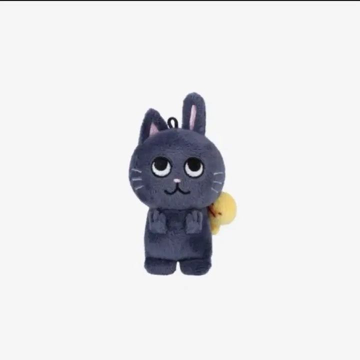 [BUNJANG] 라이즈 원빈 엠디 토냥덕1기 / 라이즈 원빈 엠디 토냥덕1기