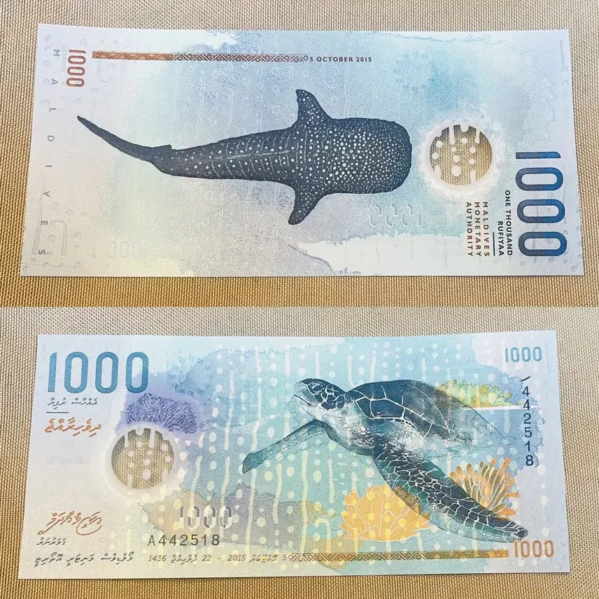 [BUNJANG] Maldives 2015 1000 Rufiyaa Polymer Uncirculated Banknote / 몰디브 2015  1000루피  폴리머 최고액면 미사용
