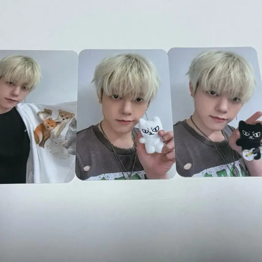 [BUNJANG] Cha Hoon Birthday Photocard Set / 차훈 생일 굿즈 포카 먐미 먐티