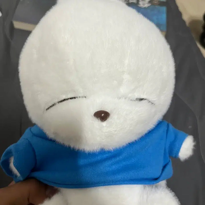 [BUNJANG] Mashimaro Medium Plush Blue T-Shirt / 마시마로 인형 중형 파란티셔츠