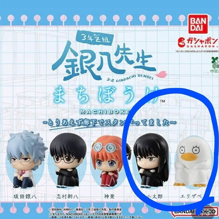 [BUNJANG] Gintama Machiboke Set / 은혼 언제오려나 마치보케