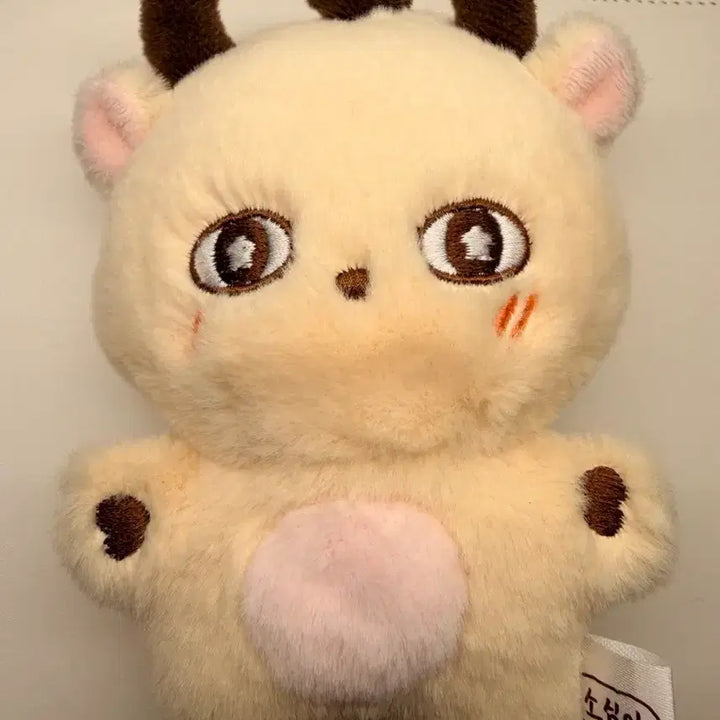 [SOLD OUT] 박지훈 소심이 인형 판매