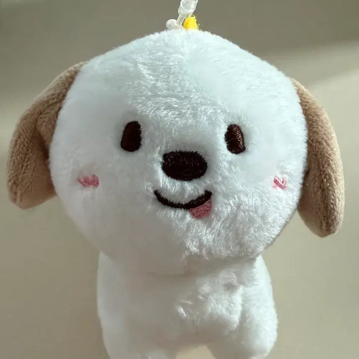 [BUNJANG] RIIZE Mengryongie 1st Gen 10cm Plush / (설명참고!!)라이즈 멍룡이 1기 10cm