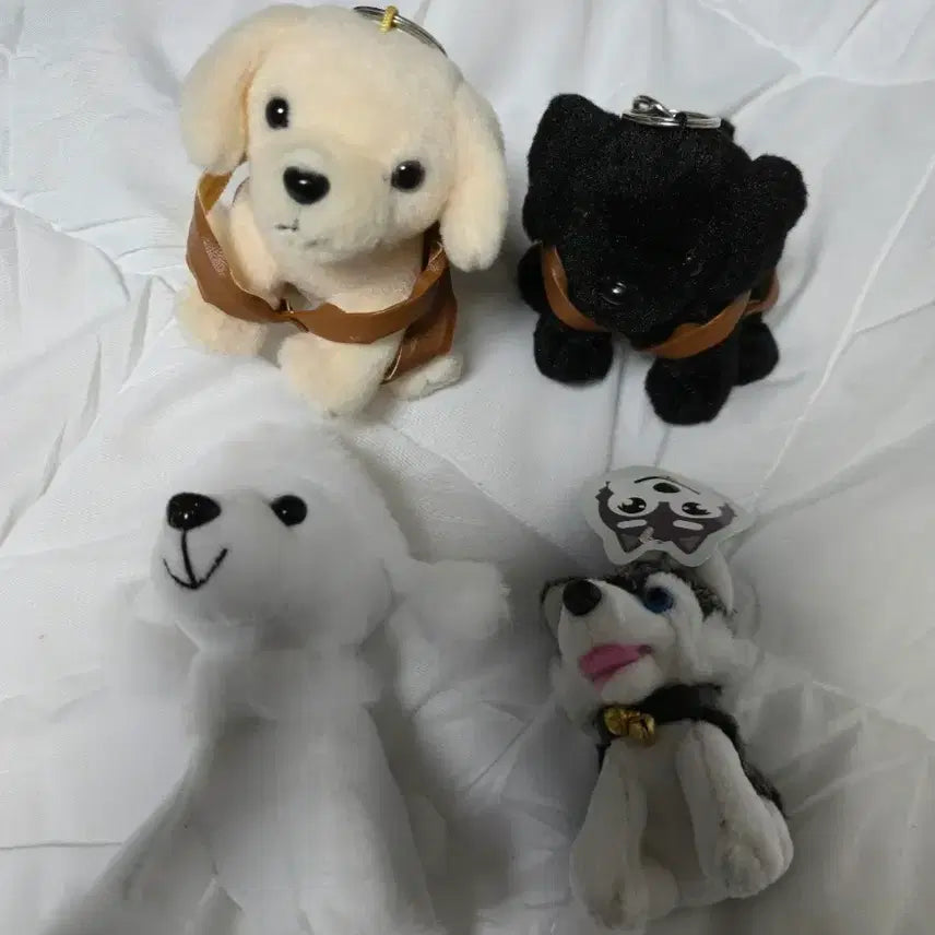 [BUNJANG] Dog Charm Keychain Doll Bundle Bag Charm / 강아지 키링 개 열쇠고리 인형 일괄 가방걸이