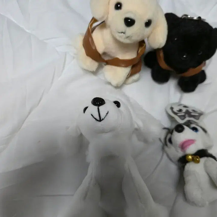 [BUNJANG] Dog Charm Keychain Doll Bundle Bag Charm / 강아지 키링 개 열쇠고리 인형 일괄 가방걸이
