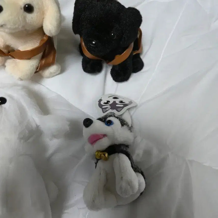 [BUNJANG] Dog Charm Keychain Doll Bundle Bag Charm / 강아지 키링 개 열쇠고리 인형 일괄 가방걸이