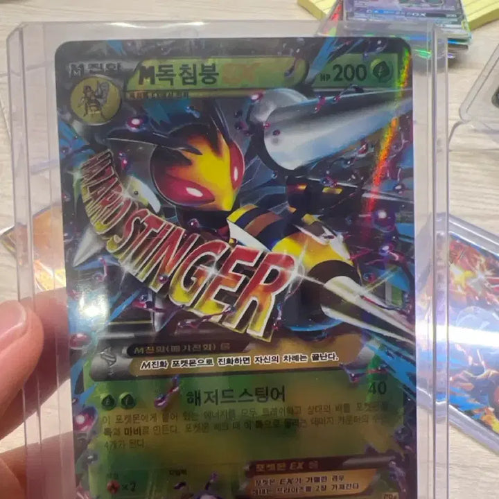 [SOLD OUT] 독침붕 M ex