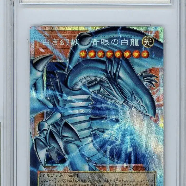 [BUNJANG] Overpower Blue-Eyes White Dragon Card / 오버프식 푸른눈의 백룡