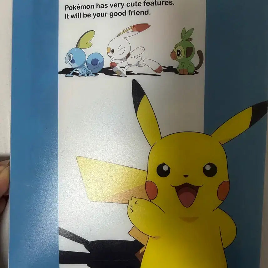 [BUNJANG] Pokemon Cards Collection / 10년동안 모은 포켓몬카드