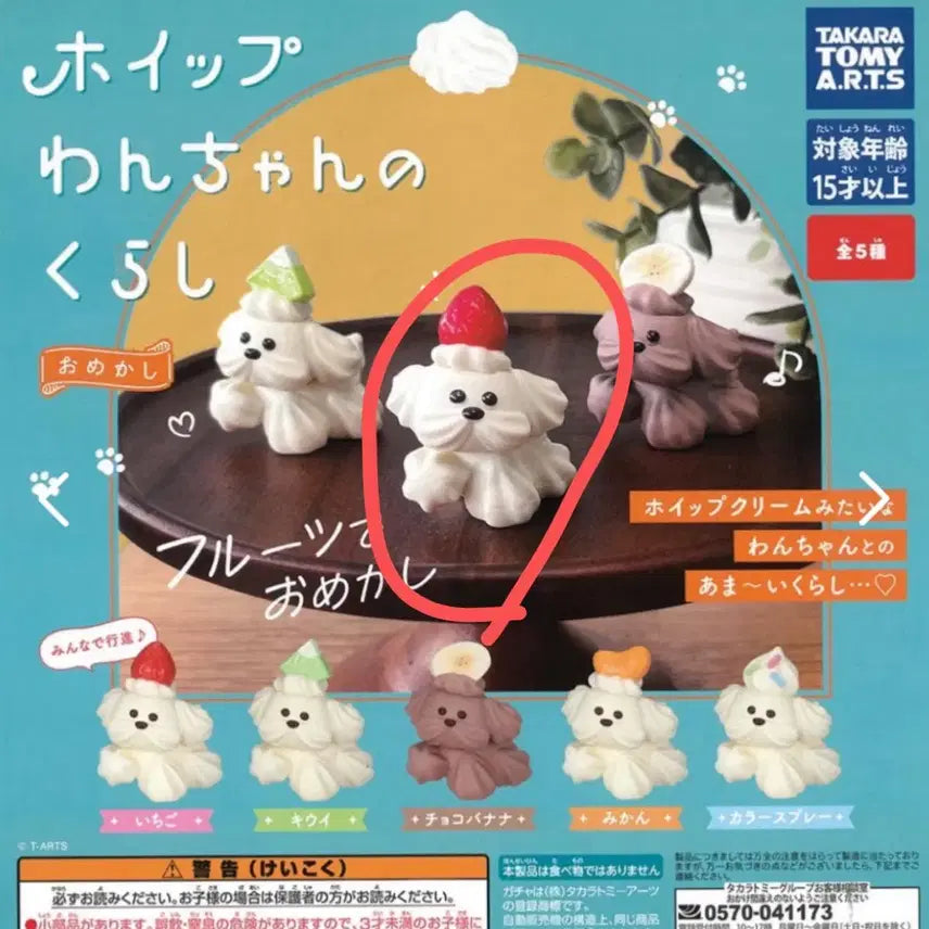 [SOLD OUT] 휘핑 강아지 가챠 2탄 딸기