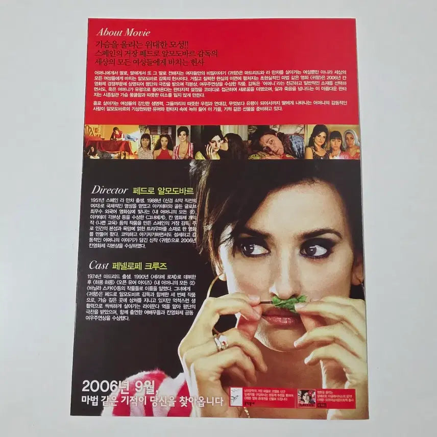 [BUNJANG] 2006 Homecoming Movie Flyer / [영화 전단지] 2006 귀향