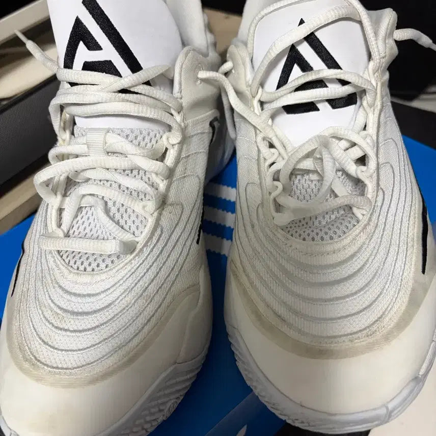 [BUNJANG] Nike Immortality 4 Basketball Shoes / 나이키 이모탈리티 4 농구화