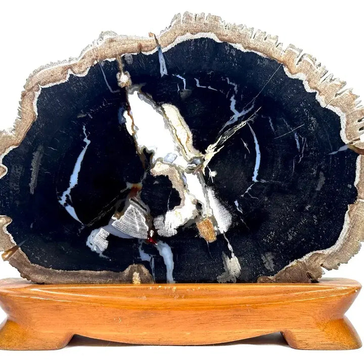 [BUNJANG] Fossilized Wood Carving Specimen / 규화목 조각 관통석 화석 수석