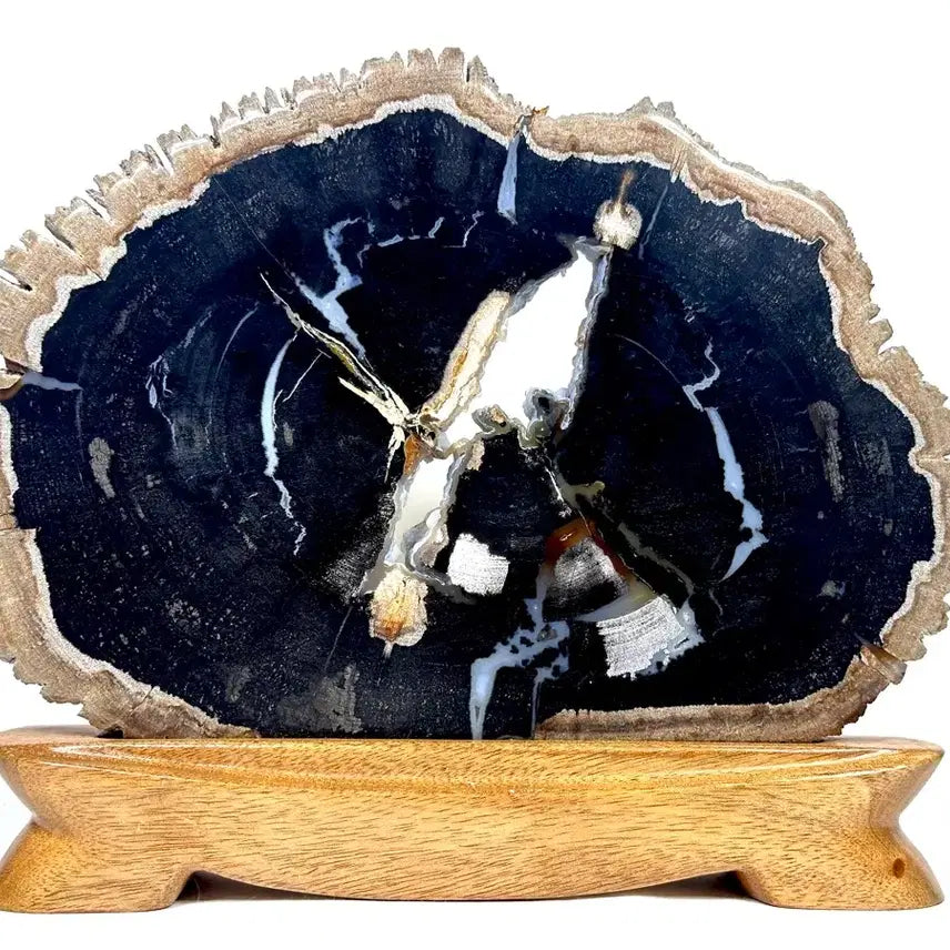 [BUNJANG] Fossilized Wood Carving Specimen / 규화목 조각 관통석 화석 수석