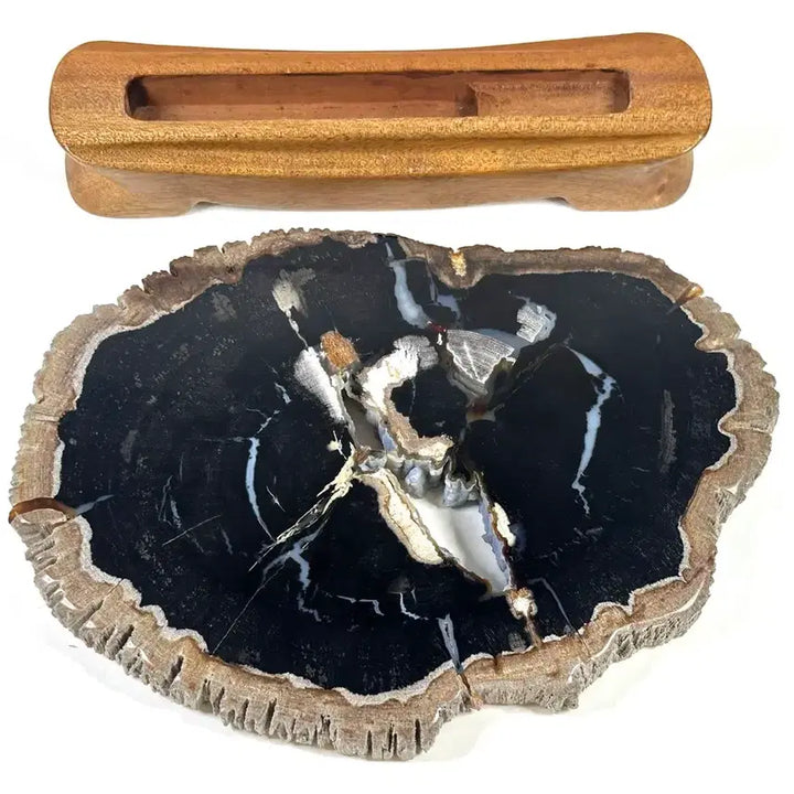 [BUNJANG] Fossilized Wood Carving Specimen / 규화목 조각 관통석 화석 수석