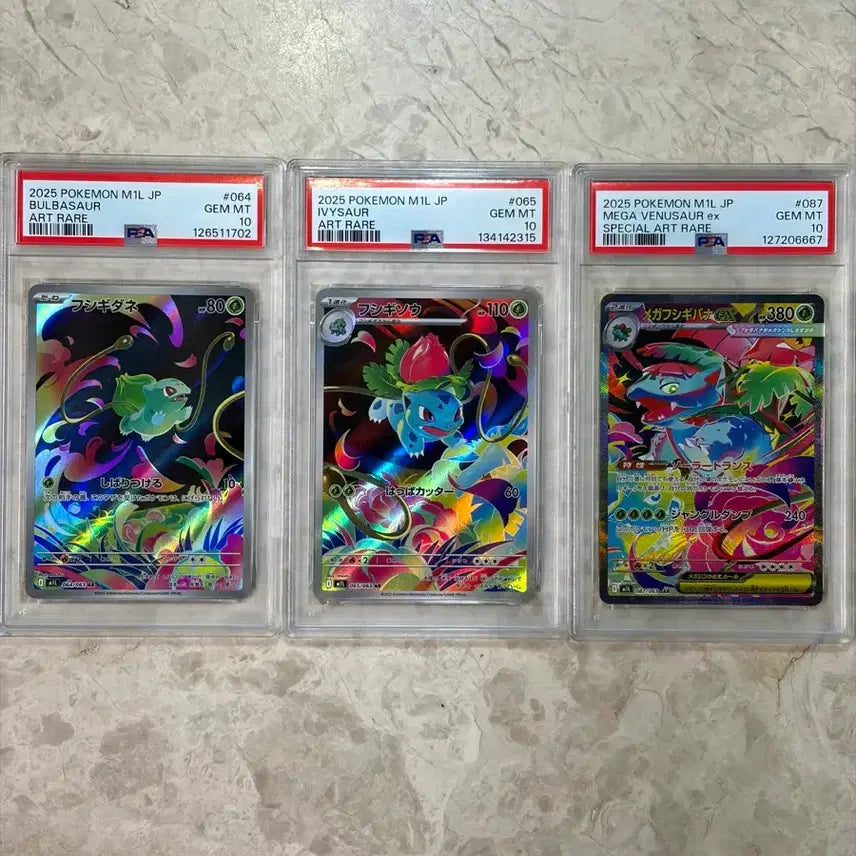 [BUNJANG] Mega Venusaur SAR, Ivysaur AR, Bulbasaur AR Set (Japanese PSA 10) / [일판 PSA10] 메가 이상해꽃 / 이상해풀 / 이상해씨 세트