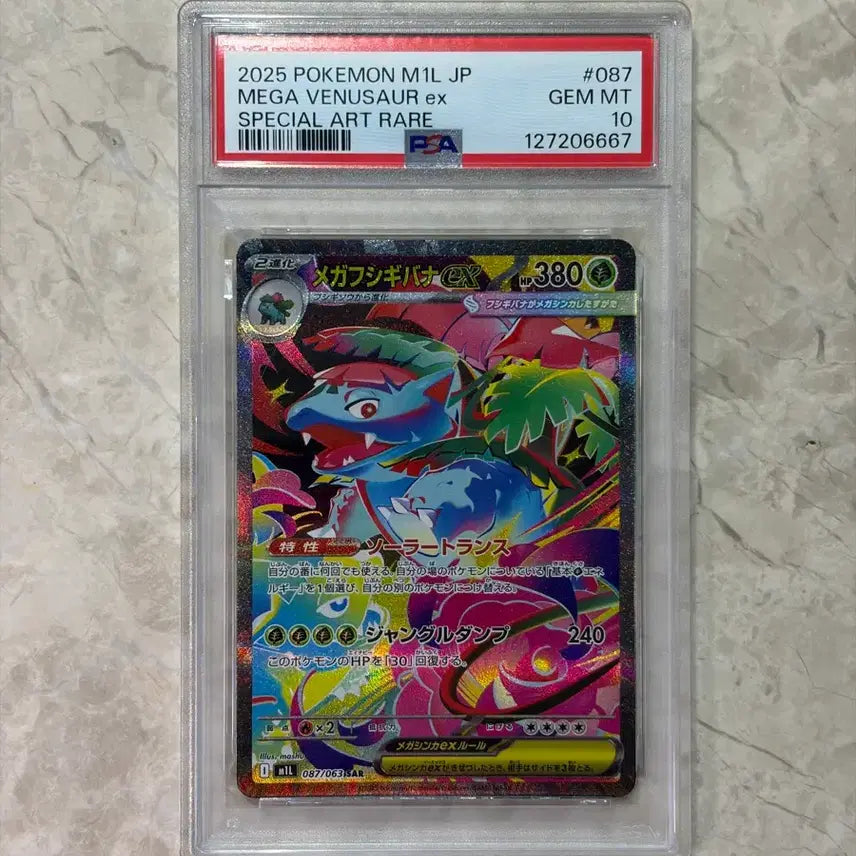 [BUNJANG] Mega Venusaur SAR, Ivysaur AR, Bulbasaur AR Set (Japanese PSA 10) / [일판 PSA10] 메가 이상해꽃 / 이상해풀 / 이상해씨 세트