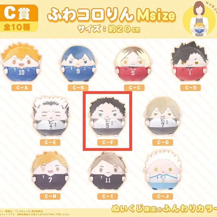 [BUNJANG] Haikyuu Fukuji Akaashi Plushie / 하이큐 후와쿠지 C상(아카아시)