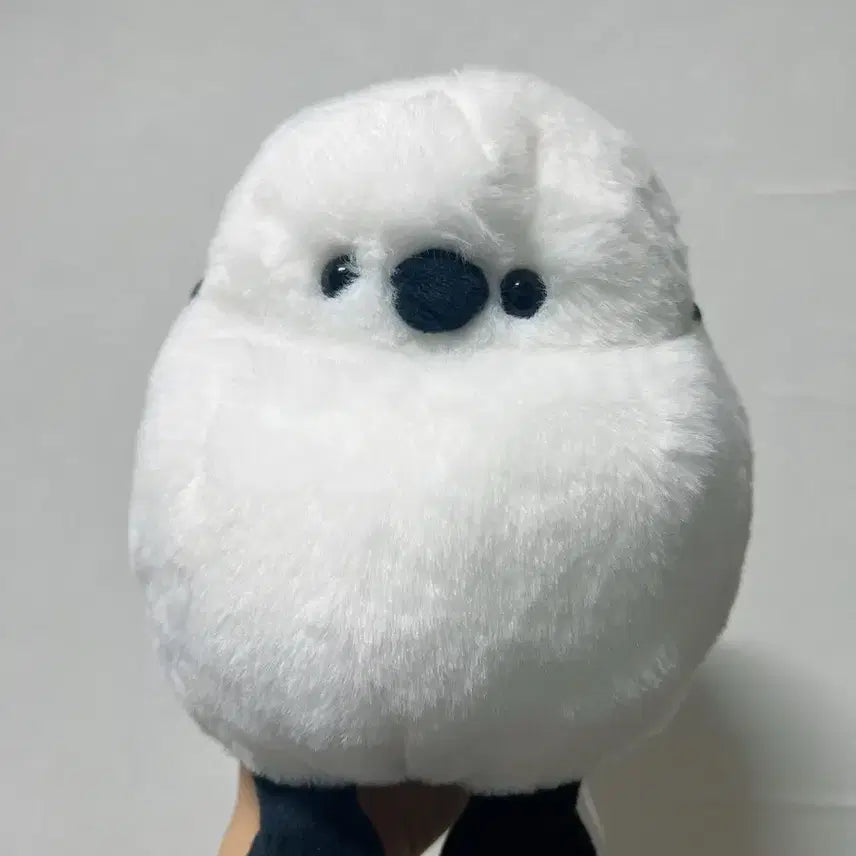 [BUNJANG] Nitori Baepsae Blue Tit Plush Doll / 뱁새 오목눈이 인형
