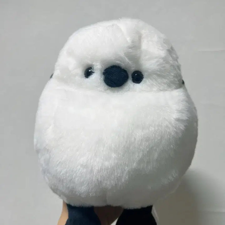 [BUNJANG] Nitori Baepsae Blue Tit Plush Doll / 뱁새 오목눈이 인형