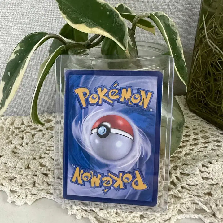 [BUNJANG] Pokemon Card Cyber Judge (Bel&