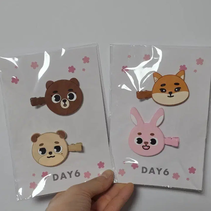 [SOLD OUT] (미사용 새제품) 데이식스 포에버영 일본 헤어핀