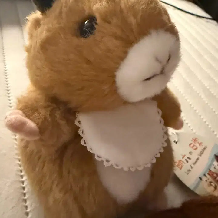 [BUNJANG] Skeroku Jiro Hamster Plush Toy / 스케로쿠 지로 햄스터인형 양도 뚱쭝햄
