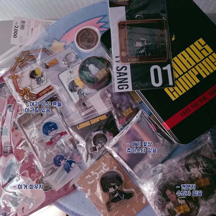 [BUNJANG] Limbus Company Ishmael Bundle Set / 림버스 컴퍼니 이상 비공굿 일괄