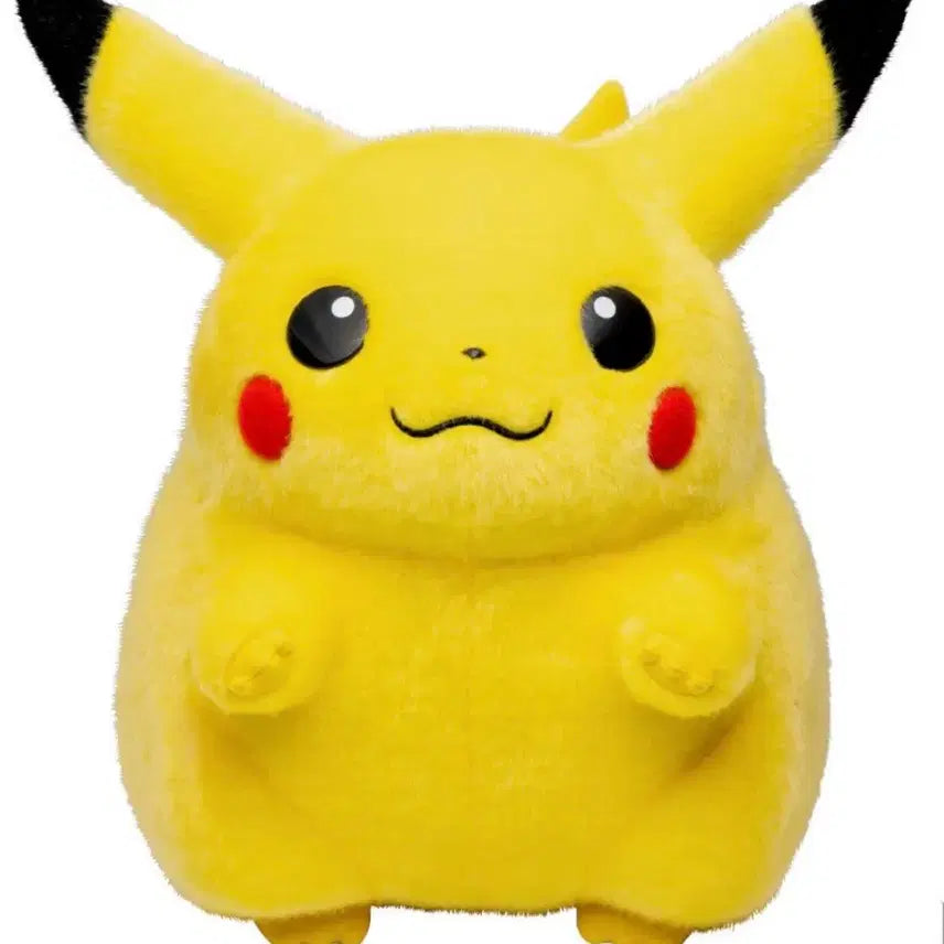[BUNJANG] Pokemon Pikachu Plush Doll / 포켓몬스터 어서와 피카츄 인형