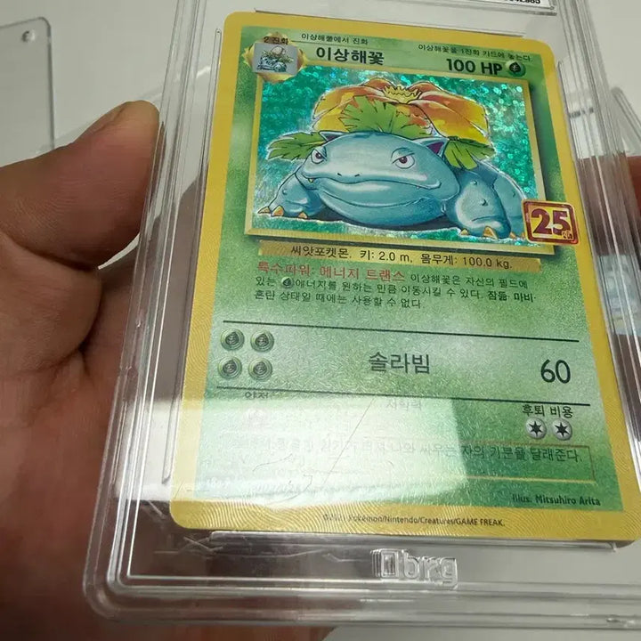 [SOLD OUT] 25 리자몽 이상해꽃 거북왕 포켓몬 brg등급카드 일괄판매