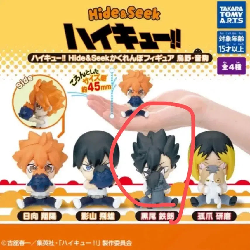 [BUNJANG] Haikyuu Kuroo Hide and Seek Gacha / 하이큐 숨바꼭질 가챠 쿠로오