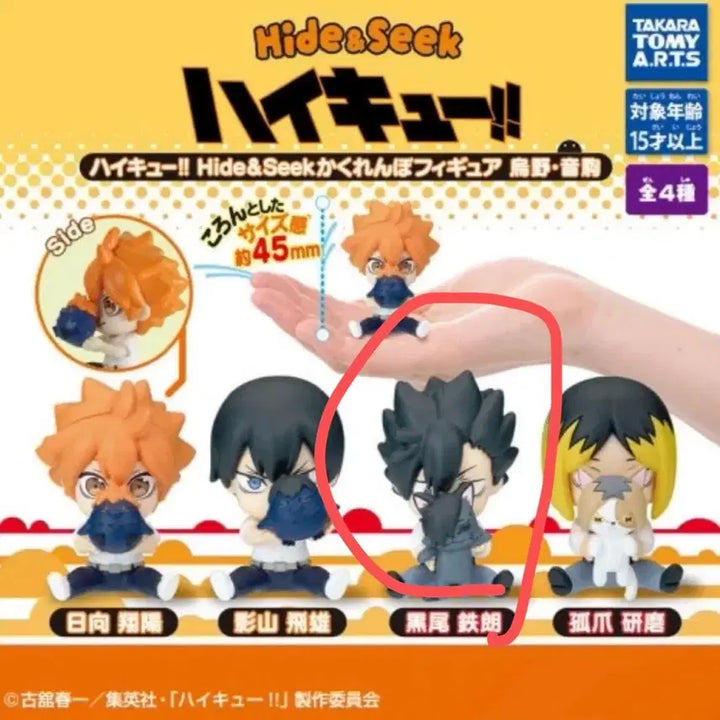 [BUNJANG] Haikyuu Kuroo Hide and Seek Gacha / 하이큐 숨바꼭질 가챠 쿠로오