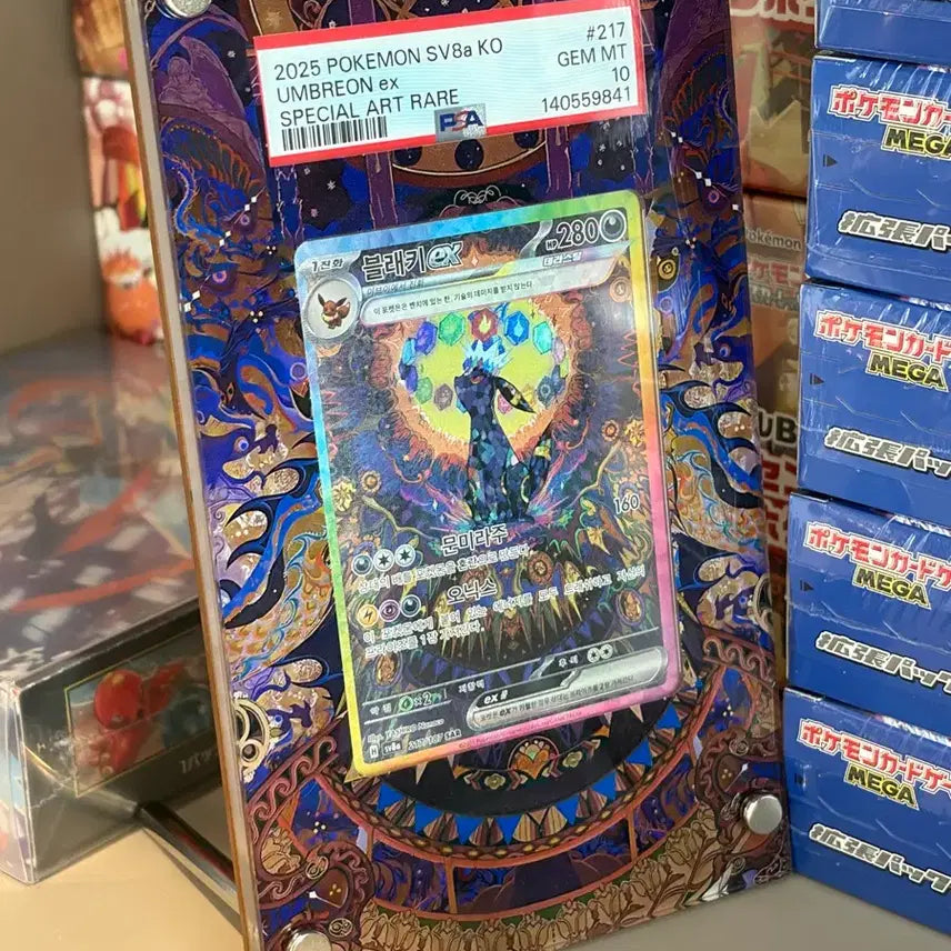 [BUNJANG] Pokemon Terastal Umbreon PSA 10 Card / 포켓몬카드 테라스탈 블래키 psa10 , 교환도 가능해요