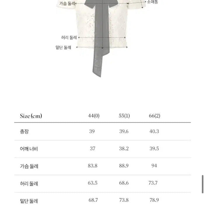 [BUNJANG] Bride And You Marsha Nova Lace Sleeve Top / 브라이드앤유 마샤 노브 레이스 슬리브 탑