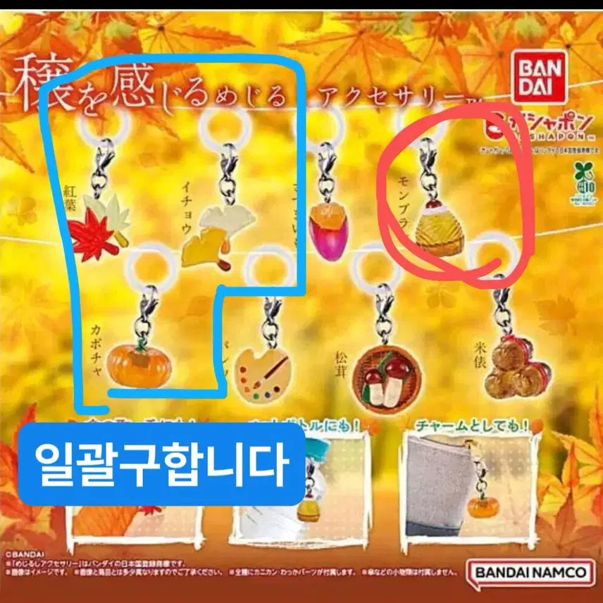 [BUNJANG] Mejirushi Autumn&