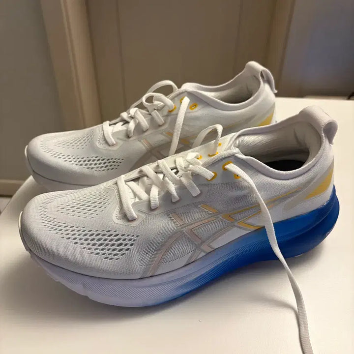 [BUNJANG] Asics Gel Kayano 31 Sneakers / 아식스 젤카야노 31 265 새상품