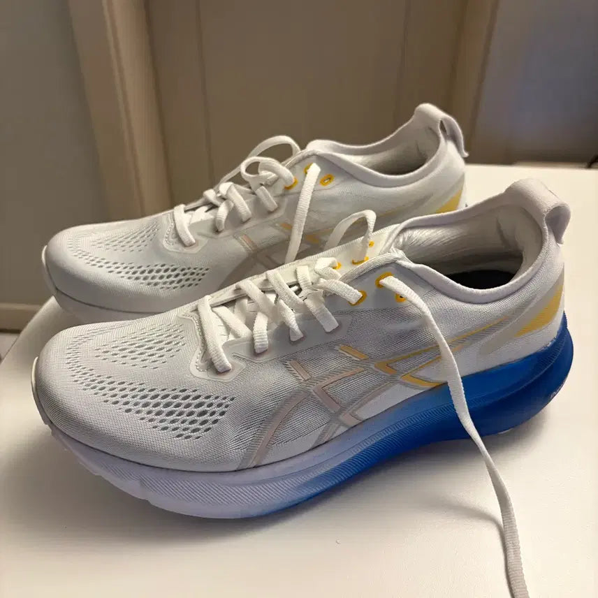 [BUNJANG] Asics Gel Kayano 31 Sneakers / 아식스 젤카야노 31 265 새상품